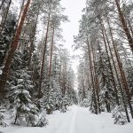 Karélia kígyó hegy, oltár kurkiyoki és sziklák Hiitola