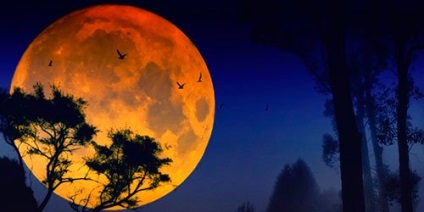 Miért álmodik a hold a teljes, vörös, nagy vagy eső