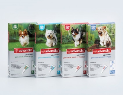 Cicatricele la câini cum să protejeze de acarienii cu ajutorul unui spray, droguri