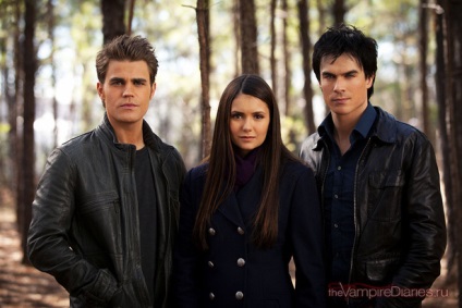 Care dintre frații Salvatore ar trebui să aleagă Elena