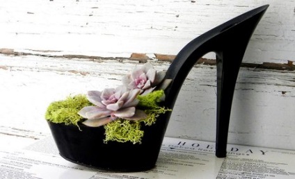 În cazul în care să planteze flori în pantofi, desigur