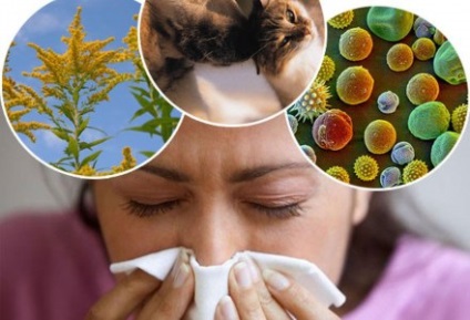 Tratamentul alergiilor (recomandări pentru medici)