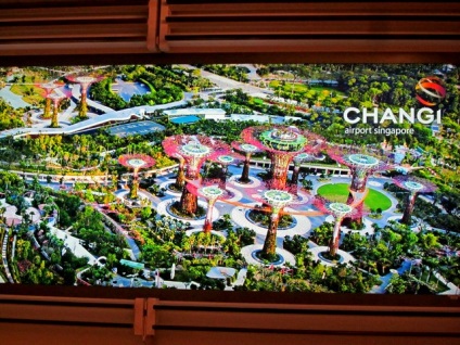 Aeroportul internațional Changi din Singapore