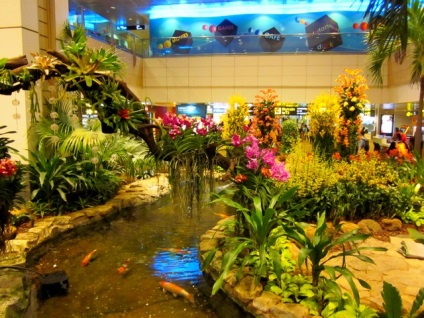 Aeroportul internațional Changi din Singapore