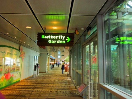 Aeroportul internațional Changi din Singapore