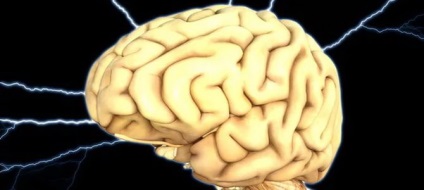 Creierul și psihicul omului, plasticitatea creierului