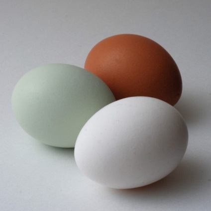 Unele pui au ouă albastre - un fapt