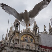 Noapte de la Veneția