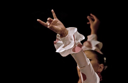 Instruirea flamenco