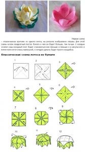 Scheme Origami pentru plierea floarei de lotus în diferite moduri