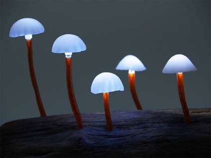 Lumina de noapte originală sub formă de ciuperci extraterestre