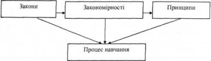 Fundamentele didactice ale învățământului superior, didactica ca ramură a pedagogiei