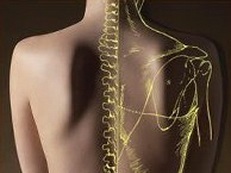 Osteopat pentru copii și adulți - traumă la naștere, torticollis, dislexie, hiperactivitate, scolioză,