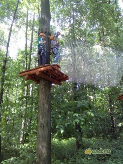 Vélemények a pandapark izmailovo - gyermekes vakációról