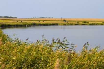 Lacurile din regiunea Kurgan pentru pescuit - puktysh, alakul, shchuchanskoye, rig, mormânt