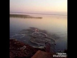 Lacul Ulagach - lacuri din regiunea Chelyabinsk