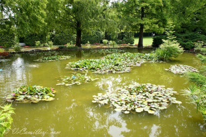 Sigurt în parcul italian