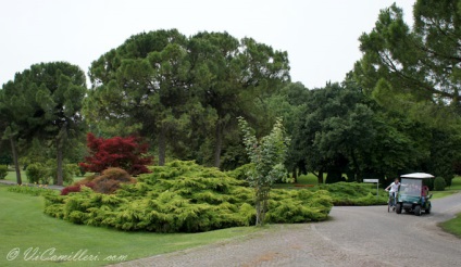 Sigurt în parcul italian