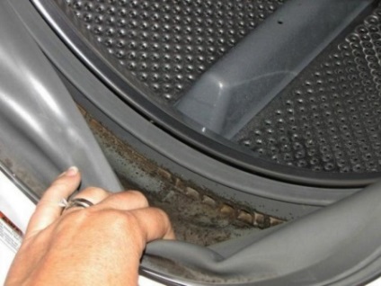 Murăturile în mașina de spălat - cum să scapi, cum să cureți mirosul de mucegai și să curățați banda elastică, mijloacele