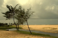 Plajă gătit în sudul Goa în India - hoteluri, comentarii