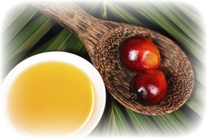 Beneficiile uleiului de palmier în nutriția copiilor - Adevăr sau mit