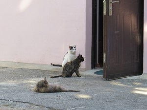 Ortodoxă Crimeea - o excursie la locuri sfinte, o plimbare - tot ce aveți nevoie pentru o vacanță minunată!