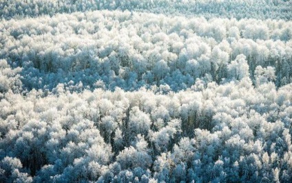 Natura și rezervațiile din Hmao (Zona autonomă Khanty-Mansi) și fapte interesante