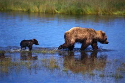 Natura și rezervele Hmao (Zona Autonomă Khanty-Mansi) și fapte interesante