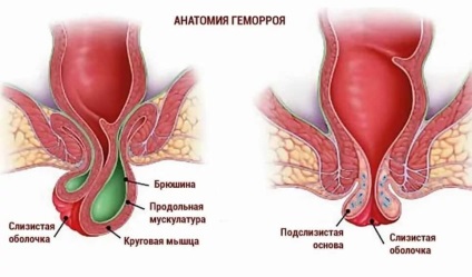 Heel sugerează simptomele și tratamentul la domiciliu