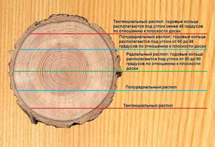 Radiális és tangenciális furnér (radiális) Radiális és tangenciális furnér