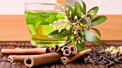 Rețete și beneficii ale ceaiului cu frunze de dafin