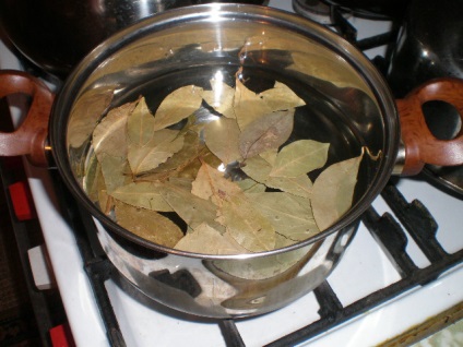 Rețete și beneficii de ceai cu frunze de dafin