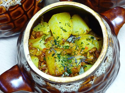 Rețetă cartofi cu ciuperci și carne într-o oală