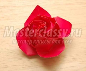 Rose-master klasszikus - mesterkurzus az Ön számára