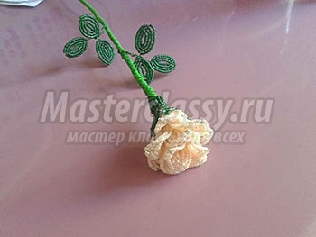 Rose - master classy - cursuri de masterat pentru tine