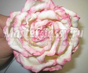 Rose - master classy - cursuri de masterat pentru tine