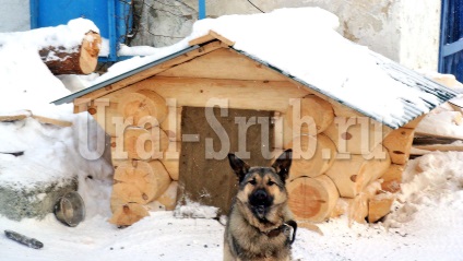 Mobilier tăiat - Cadru Ural