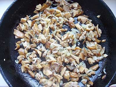 Gombás csirke gomba - recept egy fénykép finom fele