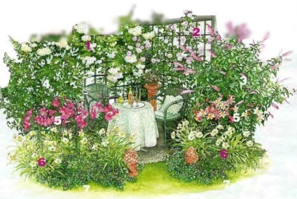 Grădină de parfumuri - alegerea plantelor, scheme