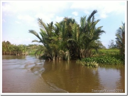 Saigon egy napig, σustegney