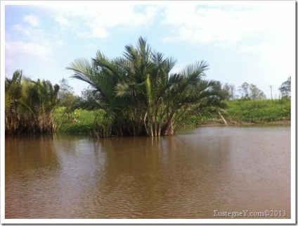 Saigon egy napig, σustegney