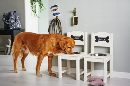 Sala de mese pentru câine