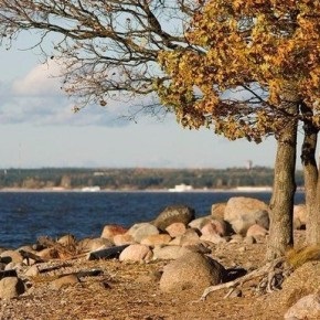 Rocks din Istul Karelian - distracție din Petersburg