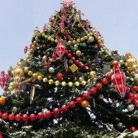 Pomul de Craciun dulce pe regulile de decorare de Anul Nou