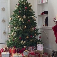 Édes karácsonyfa az újévi díszszabályokra