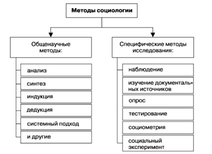 Sociologia ca știință - stadopedie