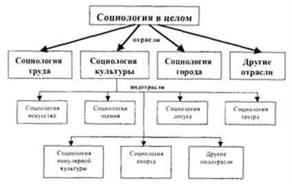 Sociologia ca știință - stadopedie