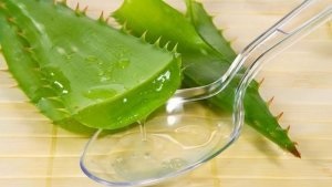 Aloe juice ellenjavallatok és alkalmazás