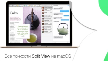 Vizualizare separată sau cum să împărțiți ecranul Mac pentru a lucra cu două aplicații simultan, știri Apple