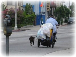 Трапезария за кучета, ние nepochem криза!